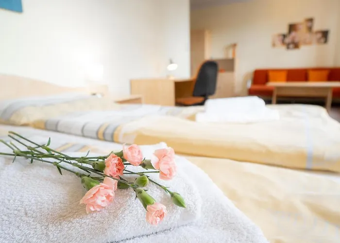 Nautico Hotel, Restaurace & Wellness ホテル モスト